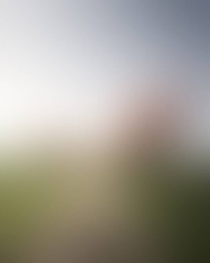 Abstract blur background of colors mixed 