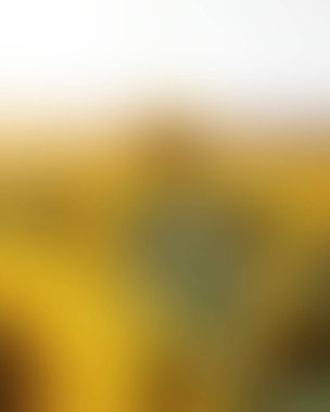 Abstract blur background of colors mixed 