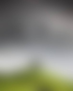 Abstract blur background of colors mixed 