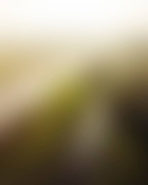 Abstract blur background of colors mixed 