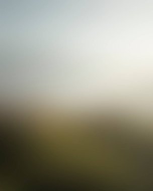 Abstract blur background of colors mixed 