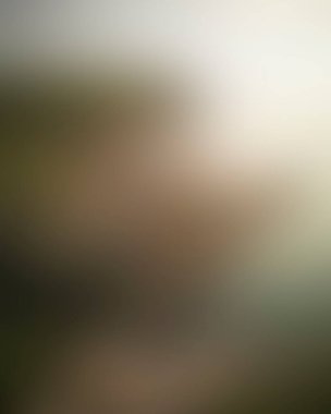 Abstract blur background of colors mixed 