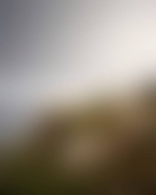 Abstract blur background of colors mixed 