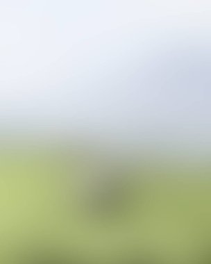 Abstract blur background of colors mixed 