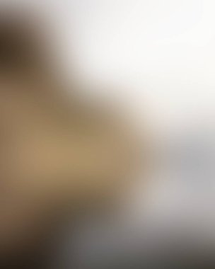 Abstract blur background of colors mixed 