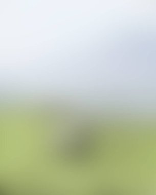 Abstract blur background of colors mixed 