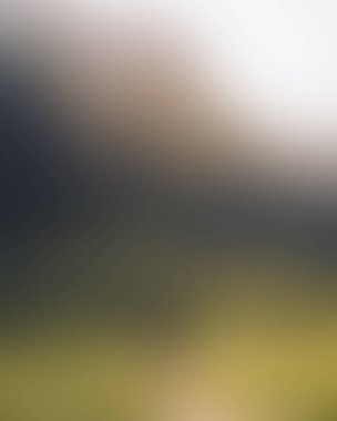 abstract blur background of colors mixed 