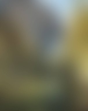 abstract blur background of colors mixed 