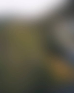 Abstract blur background of colors mixed 