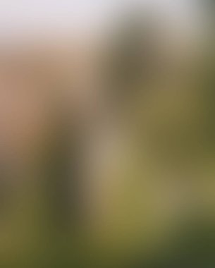 Abstract blur background of colors mixed 