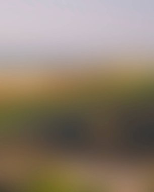 Abstract blur background of colors mixed 