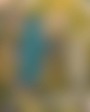 Abstract blur background of colors mixed 