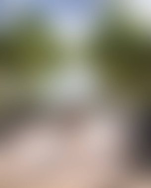 Abstract blur background of colors mixed 