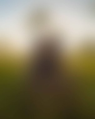 Abstract blur background of colors mixed 