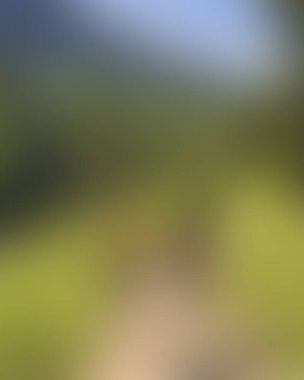 Abstract blur background of colors mixed 