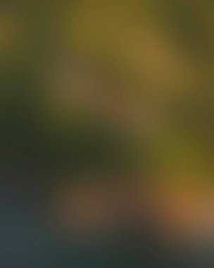 Abstract blur background of colors mixed 