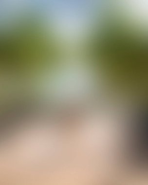 Abstract blur background of colors mixed 