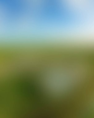 Abstract blur background of colors mixed 