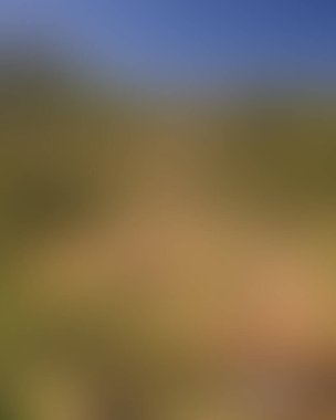 Abstract blur background of colors mixed 