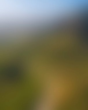 Abstract blur background of colors mixed 