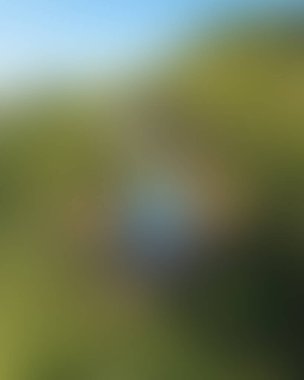 Abstract blur background of colors mixed 