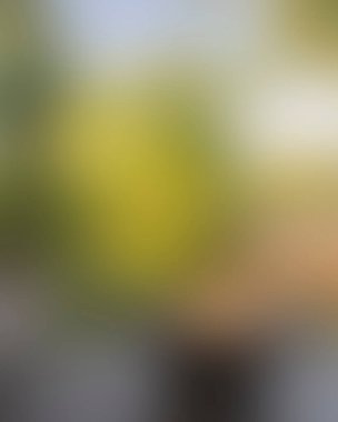 Abstract blur background of colors mixed 