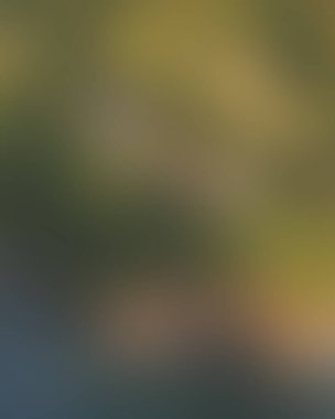 Abstract blur background of colors mixed 