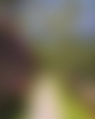 Abstract blur background of colors mixed 