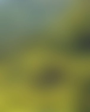 Abstract blur background of colors mixed 