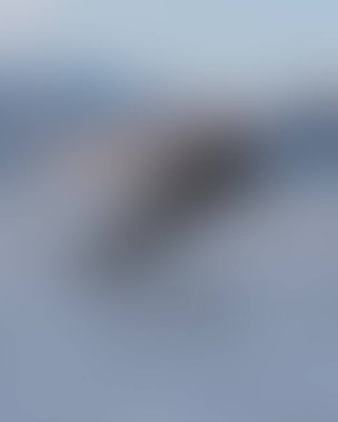 Abstract blur background of colors mixed 