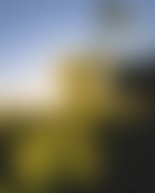 Abstract blur background of colors mixed 