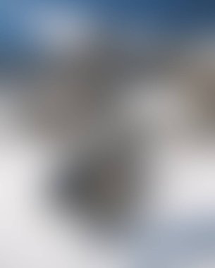 Abstract blur background of colors mixed 