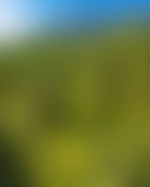 Abstract blur background of colors mixed 