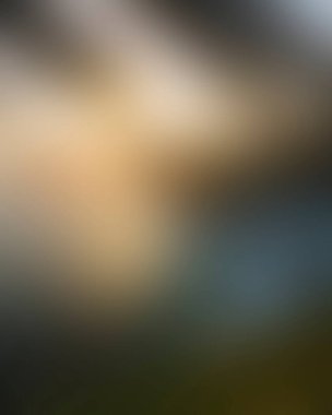 Abstract blur background of colors mixed 