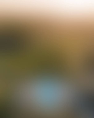 Abstract blur background of colors mixed 