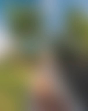 Abstract blur background of colors mixed 