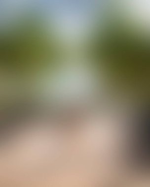 Abstract blur background of colors mixed 