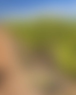 Abstract blur background of colors mixed 