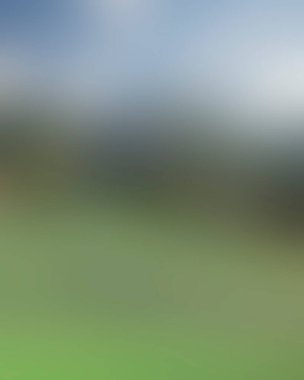 Abstract blur background of colors mixed 