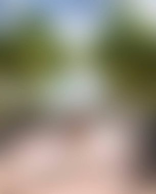 Abstract blur background of colors mixed 