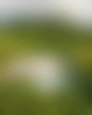 Abstract blur background of colors mixed 