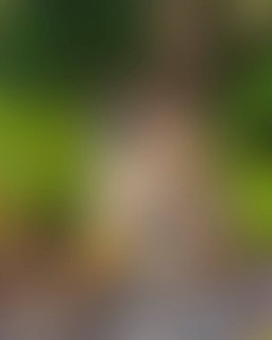 Abstract blur background of colors mixed 