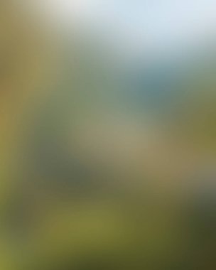 Abstract blur background of colors mixed 