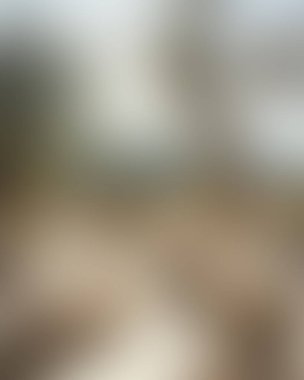 Abstract blur background of colors mixed 