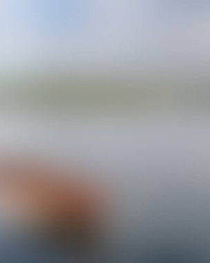 Abstract blur background of colors mixed 