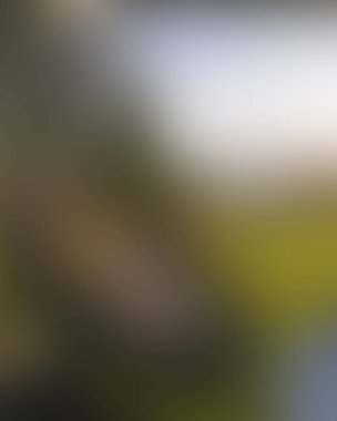 Abstract blur background of colors mixed 