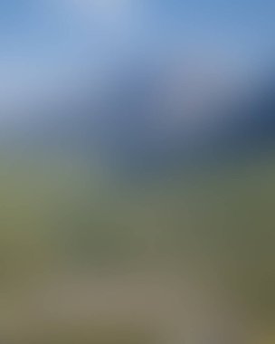 Abstract blur background of colors mixed 