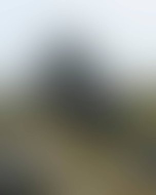 Abstract blur background of colors mixed 