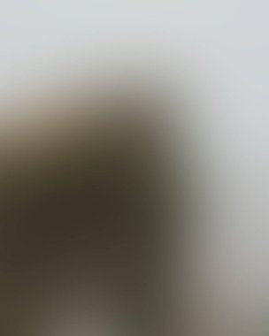 Abstract blur background of colors mixed 