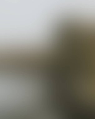 Abstract blur background of colors mixed 